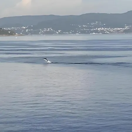 Vacaciones En El Mar - Parking Opcional Verano Apartment Sanxenxo