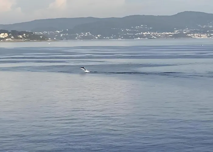Vacaciones En El Mar - Parking Opcional Verano Διαμέρισμα Sanxenxo